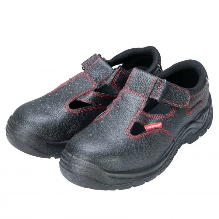 domitech6510107